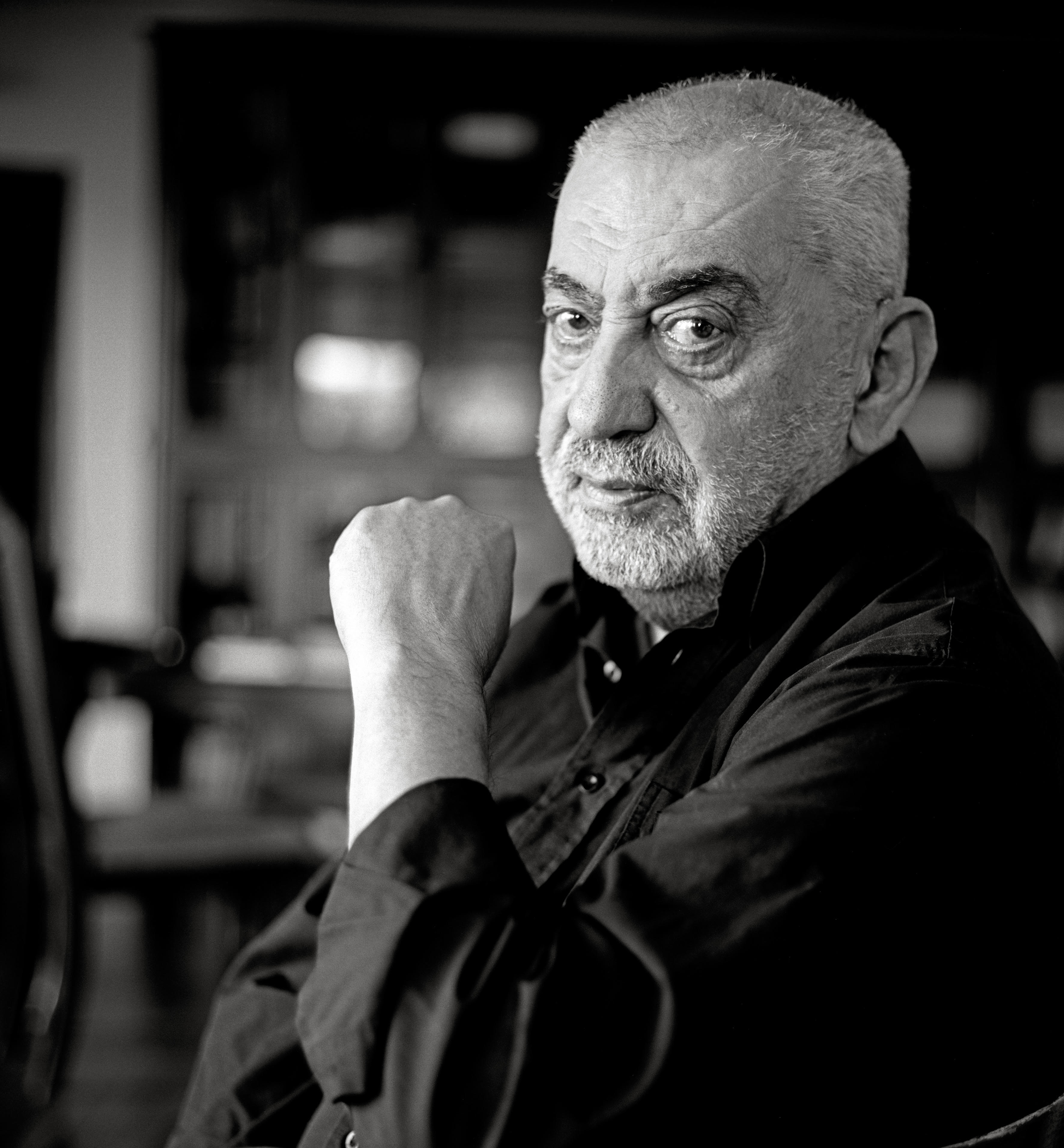 Vidosav Stevanović, portret
